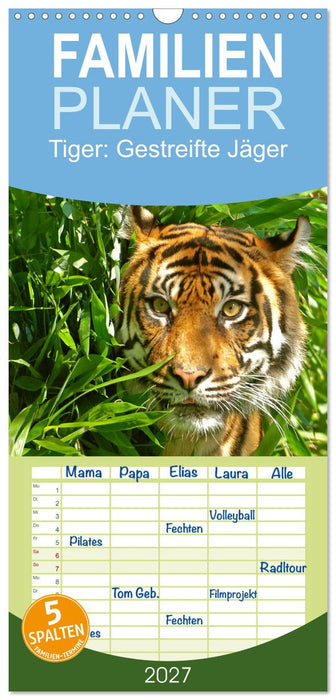 Tiger: Gestreifte Jäger (CALVENDO Familienplaner 2027)