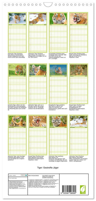 Tiger: Gestreifte Jäger (CALVENDO Familienplaner 2027)
