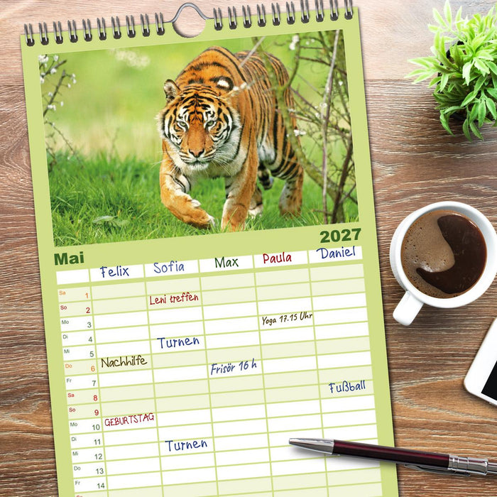 Tiger: Gestreifte Jäger (CALVENDO Familienplaner 2027)