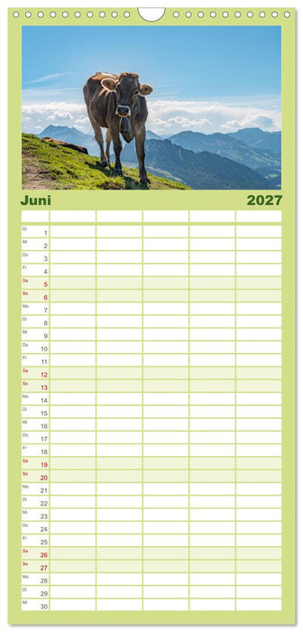 Naturwunder Berge (CALVENDO Familienplaner 2027)