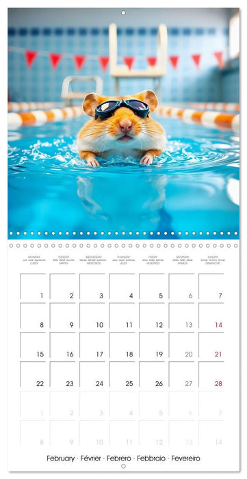 Hamster Games - When fluff becomes a competition (CALVENDO Monthly Calendar 2027)