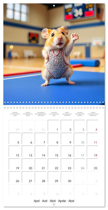 Hamster Games - When fluff becomes a competition (CALVENDO Monthly Calendar 2027)