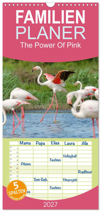 The Power Of Pink (CALVENDO Familienplaner 2027)