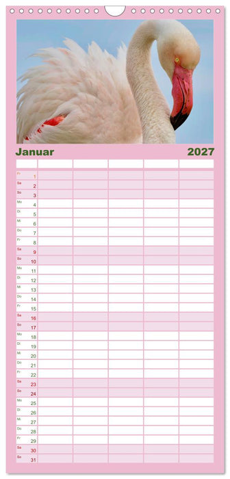 The Power Of Pink (CALVENDO Familienplaner 2027)