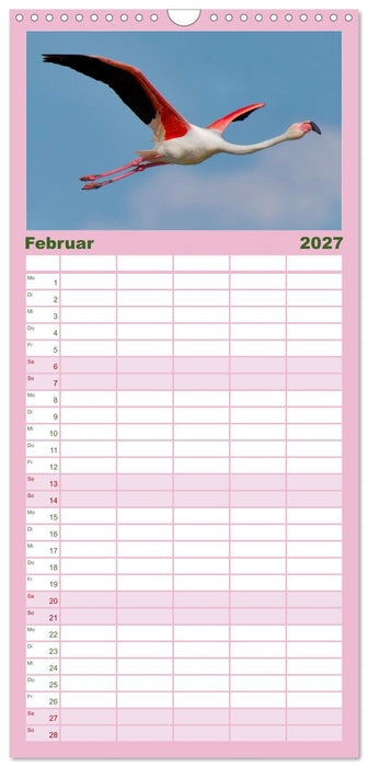 The Power Of Pink (CALVENDO Familienplaner 2027)