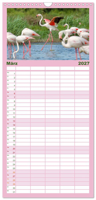 The Power Of Pink (CALVENDO Familienplaner 2027)