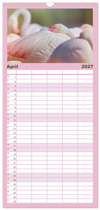 The Power Of Pink (CALVENDO Familienplaner 2027)