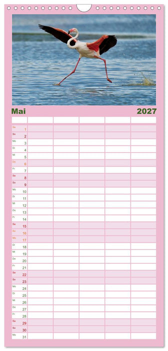 The Power Of Pink (CALVENDO Familienplaner 2027)