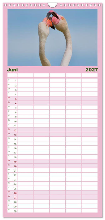 The Power Of Pink (CALVENDO Familienplaner 2027)