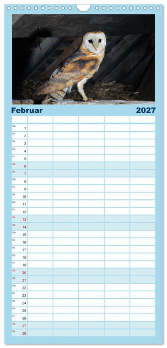 Das Leben der Eulen, die Damen der Nacht (CALVENDO Familienplaner 2027)