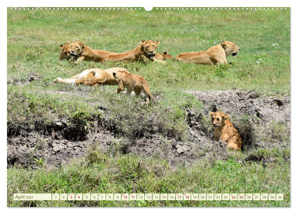 Erlebe mit mir Tansania (CALVENDO Wandkalender 2027)