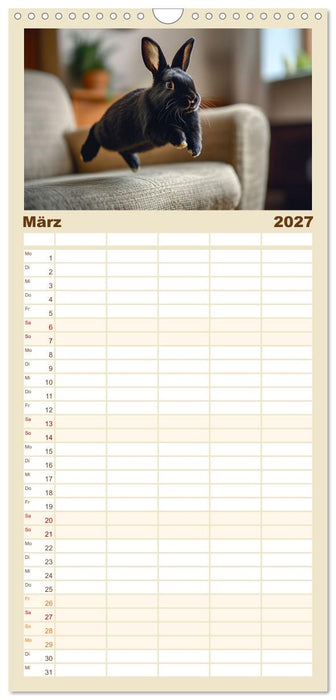 Kuschelige Sofa-Kaninchen (CALVENDO Familienplaner 2027)