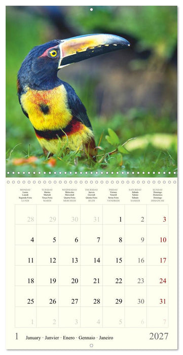 Royaume de nature Costa Rica (CALVENDO Calendrier mensuel 2027)
