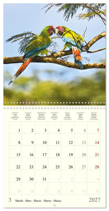 Royaume de nature Costa Rica (CALVENDO Calendrier mensuel 2027)