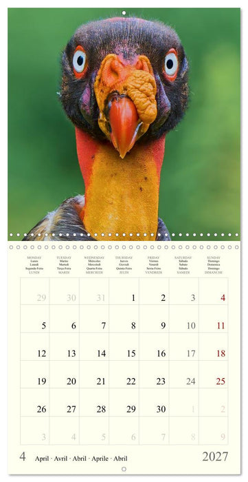 Royaume de nature Costa Rica (CALVENDO Calendrier mensuel 2027)