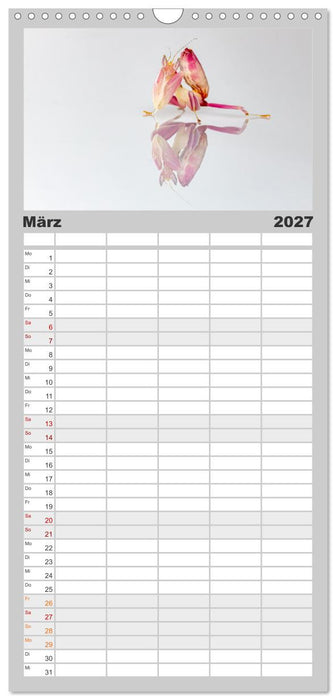 Die Orchideen Gottesanbeterin (CALVENDO Familienplaner 2027)