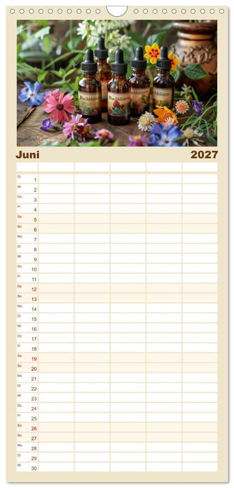 Heilung aus der Natur (CALVENDO Familienplaner 2027)