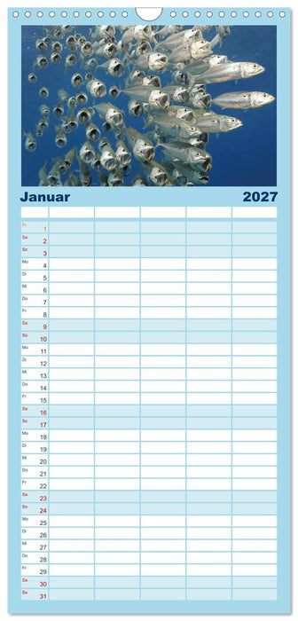 Planet Wasser: Von wegen Planet Erde (CALVENDO Familienplaner 2027)