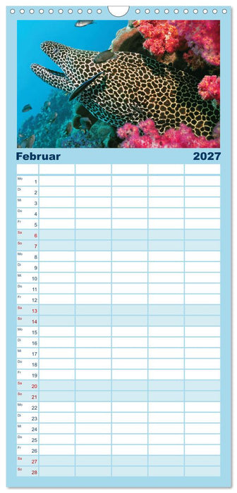 Planet Wasser: Von wegen Planet Erde (CALVENDO Familienplaner 2027)