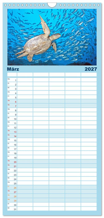 Planet Wasser: Von wegen Planet Erde (CALVENDO Familienplaner 2027)
