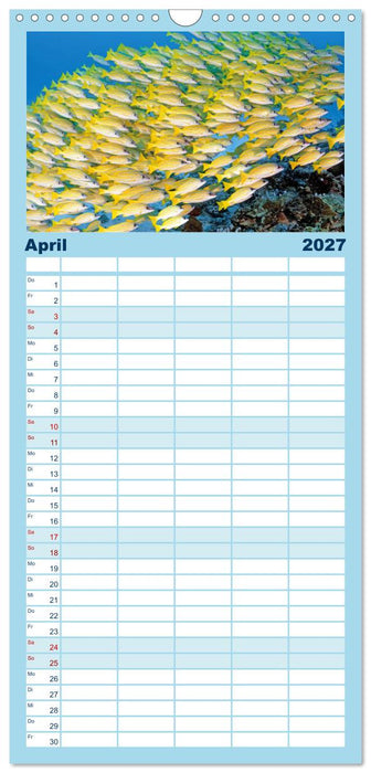 Planet Wasser: Von wegen Planet Erde (CALVENDO Familienplaner 2027)