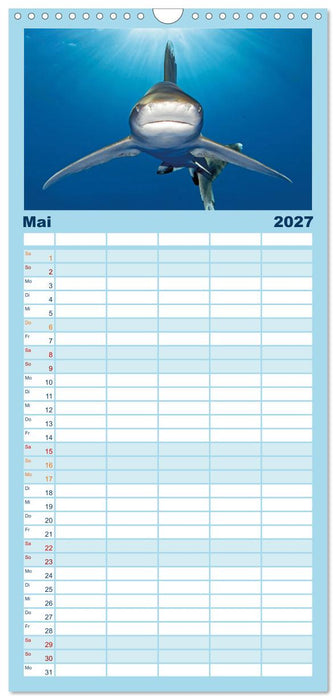 Planet Wasser: Von wegen Planet Erde (CALVENDO Familienplaner 2027)