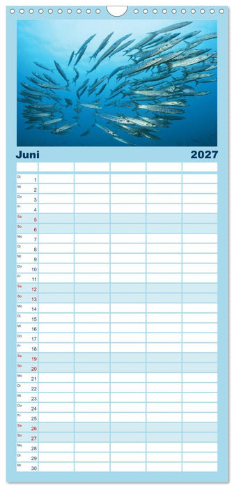 Planet Wasser: Von wegen Planet Erde (CALVENDO Familienplaner 2027)