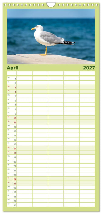 Koper - Slowenien Kalender (CALVENDO Familienplaner 2027)