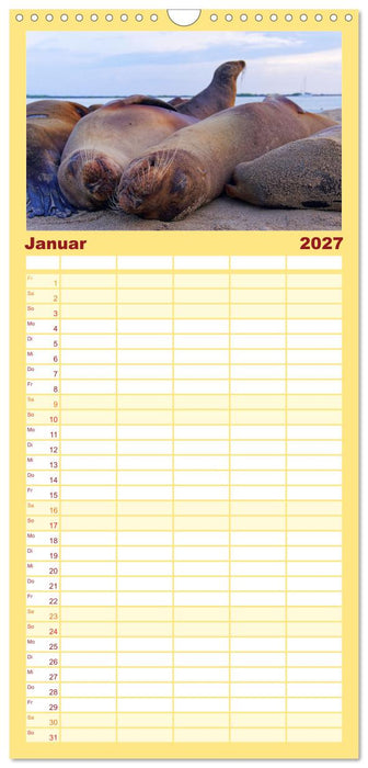 Entdecke Galapagos (CALVENDO Familienplaner 2027)