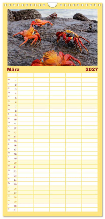 Entdecke Galapagos (CALVENDO Familienplaner 2027)
