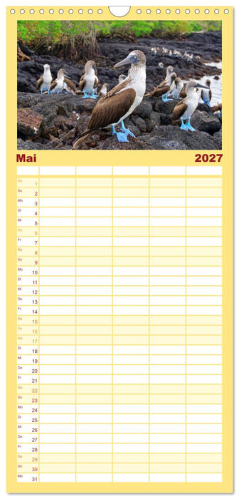 Entdecke Galapagos (CALVENDO Familienplaner 2027)