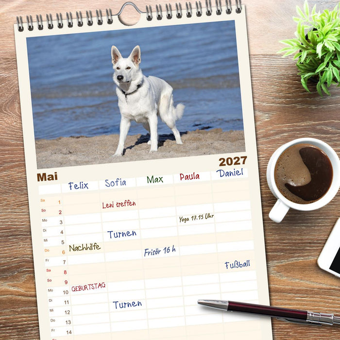 Berger Blanc Suisse - Weggefährten auf 4 Pfoten (CALVENDO Familienplaner 2027)