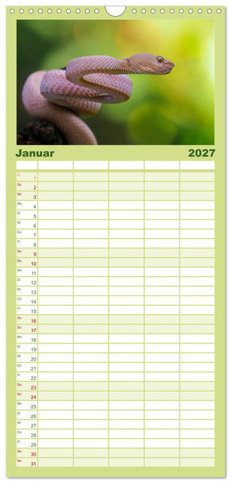 Faszination Schlangen (CALVENDO Familienplaner 2027)