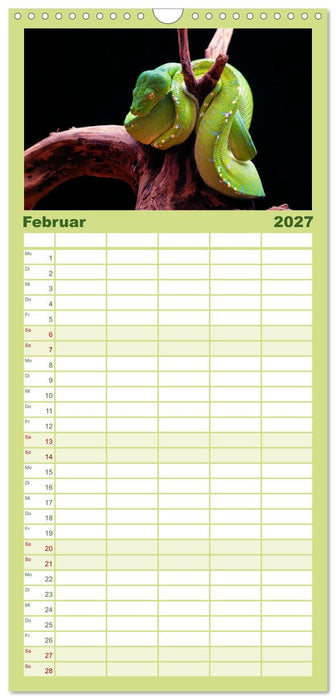 Faszination Schlangen (CALVENDO Familienplaner 2027)
