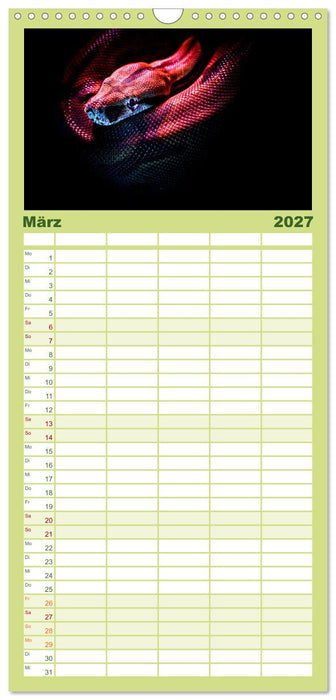 Faszination Schlangen (CALVENDO Familienplaner 2027)