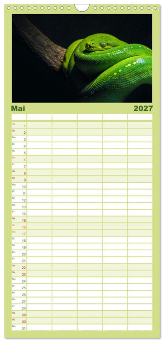 Faszination Schlangen (CALVENDO Familienplaner 2027)