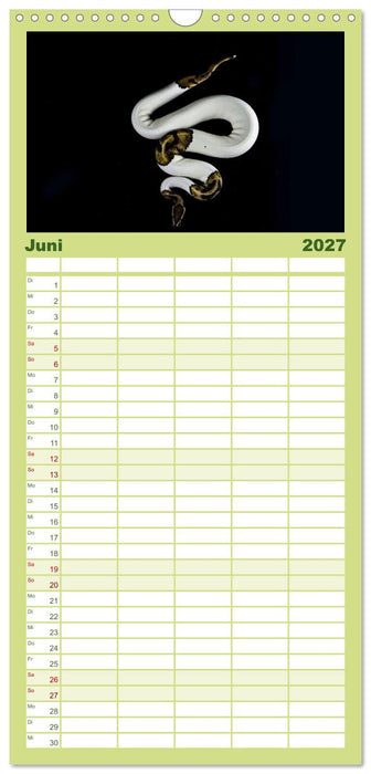 Faszination Schlangen (CALVENDO Familienplaner 2027)