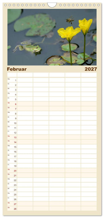 Frosch Karl, Hans und Max im Einklang der Natur (CALVENDO Familienplaner 2027)
