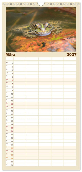 Frosch Karl, Hans und Max im Einklang der Natur (CALVENDO Familienplaner 2027)