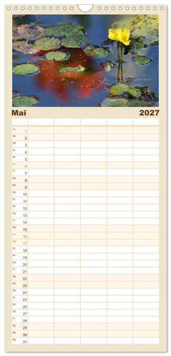 Frosch Karl, Hans und Max im Einklang der Natur (CALVENDO Familienplaner 2027)