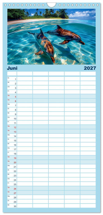 Delfinglück (CALVENDO Familienplaner 2027)
