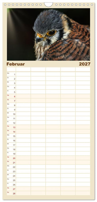 Imposante Vogelporträts (CALVENDO Familienplaner 2027)