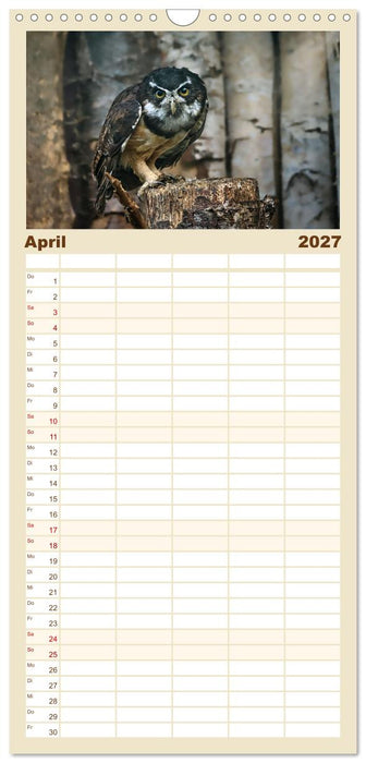 Imposante Vogelporträts (CALVENDO Familienplaner 2027)