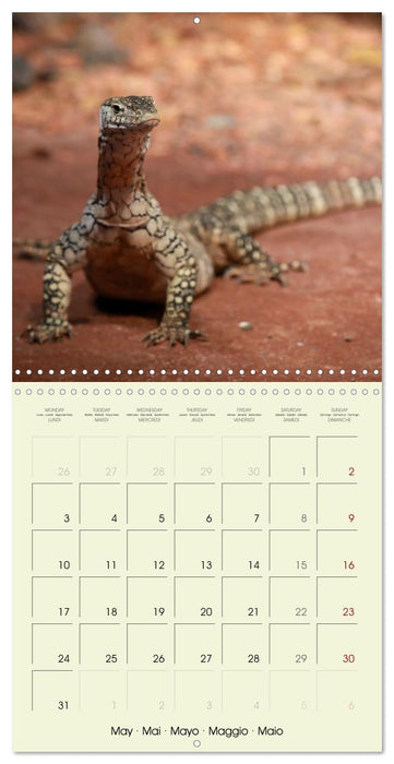 Les merveilles du monde les reptiles (CALVENDO Calendrier mensuel 2027)
