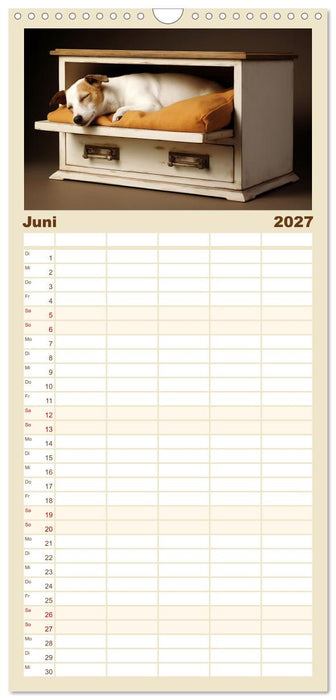 Lieblingsschlafplätze (CALVENDO Familienplaner 2027)