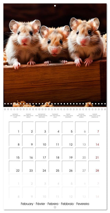 Sweet HAMSTERS (CALVENDO Monthly Calendar 2027)