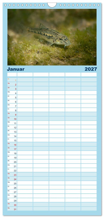 Faszination Fische (CALVENDO Familienplaner 2027)