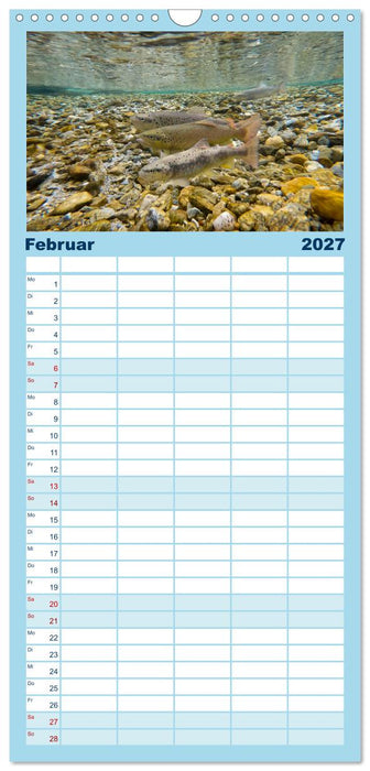 Faszination Fische (CALVENDO Familienplaner 2027)