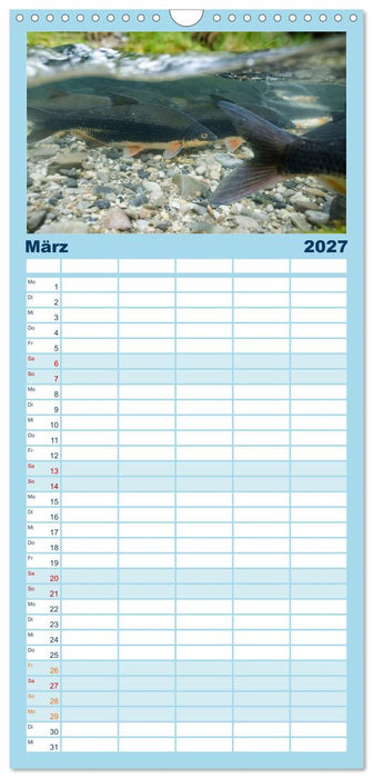 Faszination Fische (CALVENDO Familienplaner 2027)