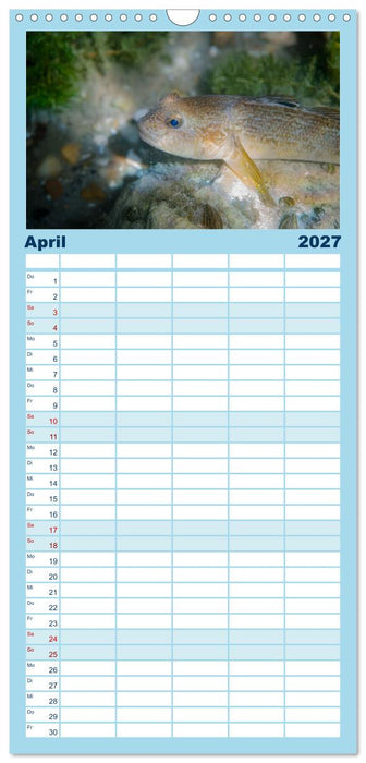 Faszination Fische (CALVENDO Familienplaner 2027)